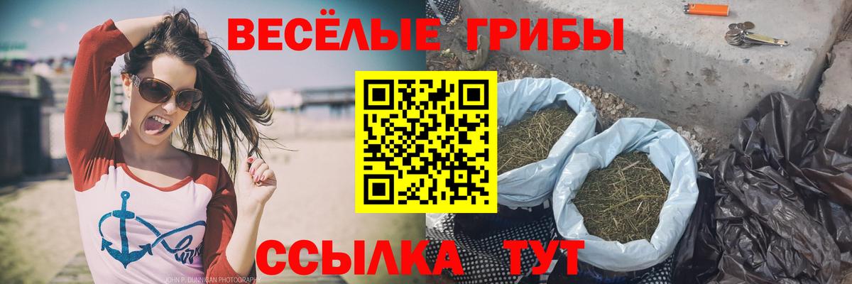 Галлюциногенные грибы мухоморы  Псилоцибиновые грибы Magic Shrooms  Елизово  Вход с VPN 